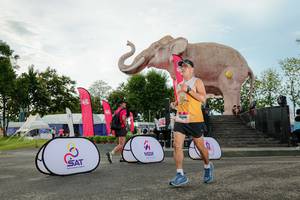 BIB: 
                            <button type="button" onclick="openModal(26529060)" class="btn btn-primary btn-sm float-right btn-popup" data-toggle="modal" data-target=".modal-high-quality">
                        <i class="fas fa-shopping-cart"></i> Add to Cart
                    </button>
                                            <button type="button" onclick="isThisMe(26529060, true)" class="btn btn-success btn-sm float-right btn-popup btn-isme hidden" data-toggle="tooltip" data-placement="bottom" title="นี่คือรูปของคุณใช่ไหม คลิกที่นี่เพื่อเอาเข้าอัลบั้ม">
                        <i class="fas fa-plus"></i> Add to album
                    </button>
                    <button type="button" onclick="isThisMe(26529060, false)" class="btn btn-warning btn-sm float-right btn-popup btn-isnotme hidden">
                        <i class="fas fa-ban"></i> Remove from album
                    </button>